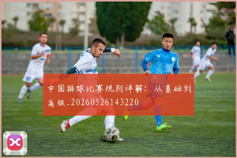中国排球比赛规则详解：从基础到高级_20260526143220
